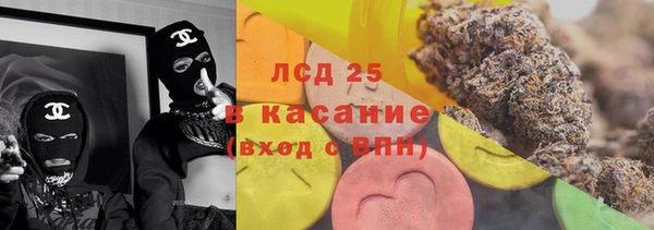 соль ск Дмитриев