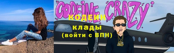 соль ск Дмитриев