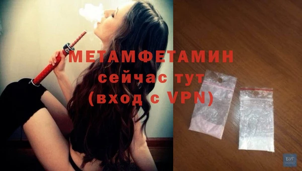 соль ск Дмитриев