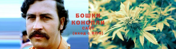 соль ск Дмитриев