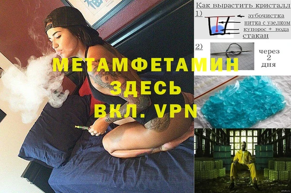 соль ск Дмитриев