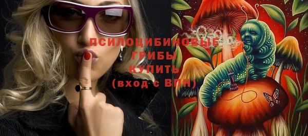 соль ск Дмитриев