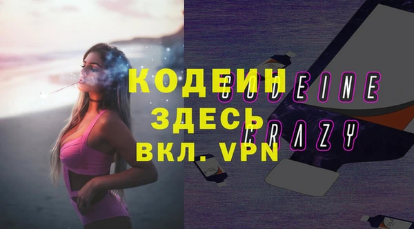 соль ск Дмитриев
